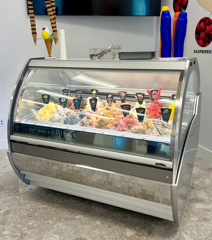 VITRINE OU PRÉSENTOIR A GLACE PROFESSIONNELLE 